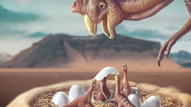 When Did Oviraptor Live: