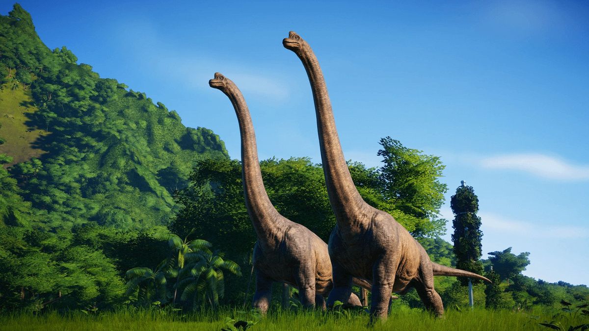 How Tall Was Apatosaurus: Unraveling the Giant's Height