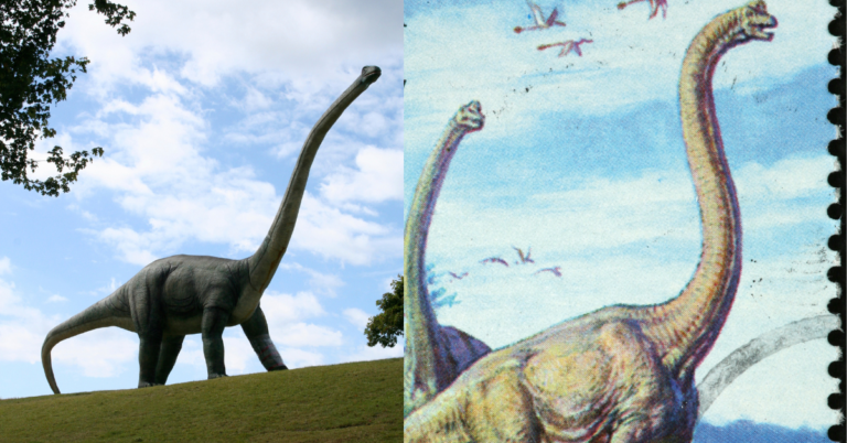 Brachiosaurus and Apatosaurus: