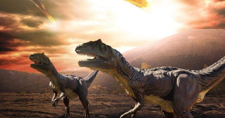 Tyrannosaurus rex Lifespan: How Long Did T. rex Live?