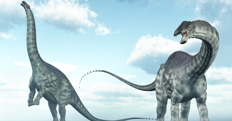 What is the Scientific Name for Apatosaurus?