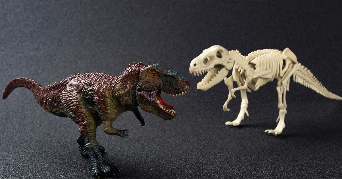 Unearthing the Fascination: The Tyrannosaurus Rex Skeleton Toy