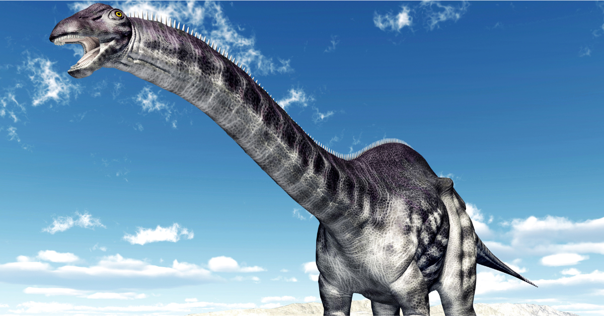 What is Apatosaurus?