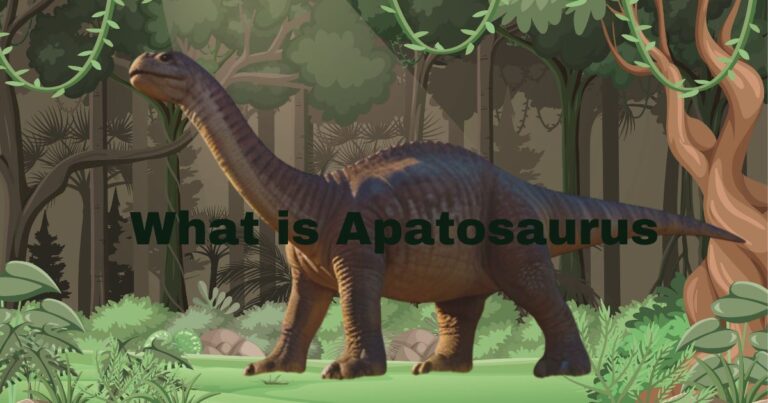 "What is Apatosaurus? Discover the Fascinating Facts About This Giant Dinosaur"