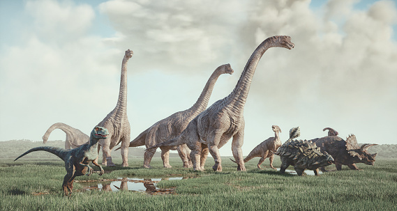 Brontosaurus vs Brachiosaurus vs Apatosaurus: