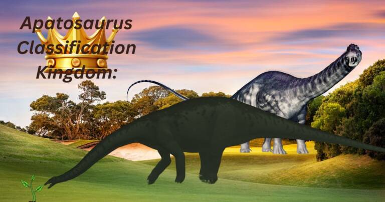 Apatosaurus Classification Kingdom: