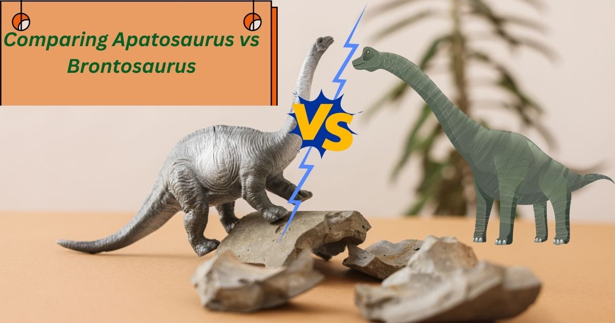 Apatosaurus vs Brontosaurus 