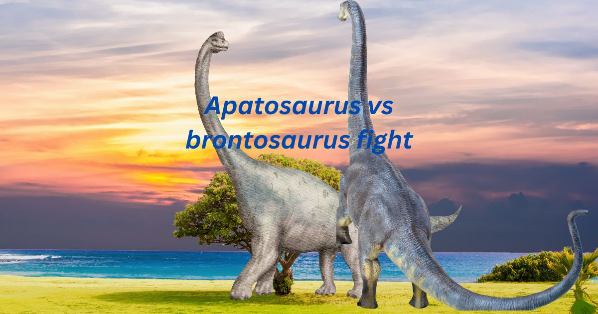 Apatosaurus vs Brontosaurus 