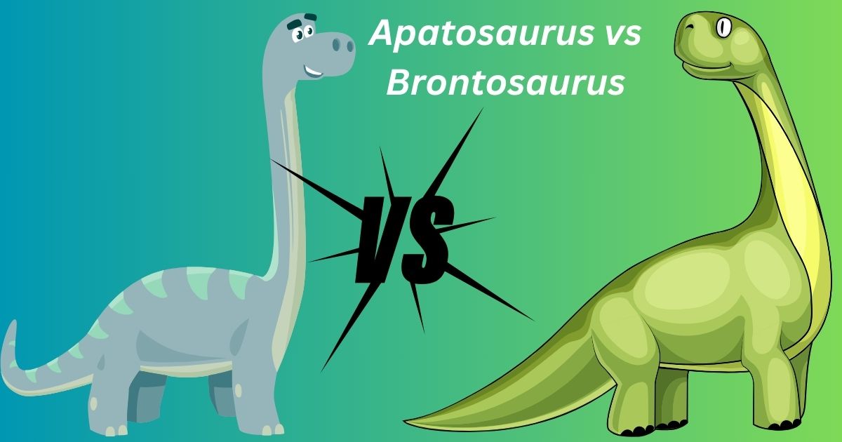 Apatosaurus vs Brontosaurus