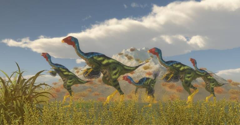 Oviraptor