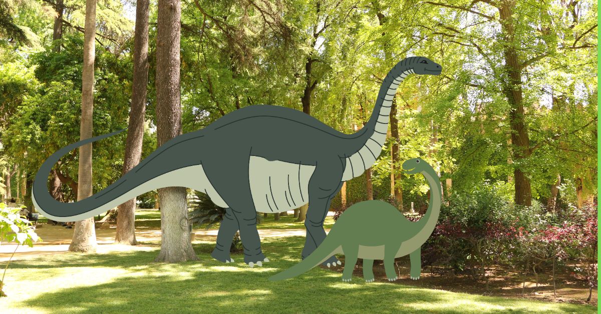 Apatosaurus dinosaur: