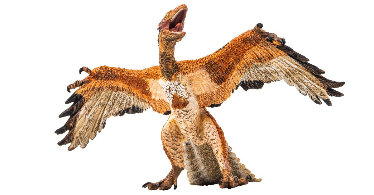 Unveiling the Mystery: Oviraptor Feathered Appearance