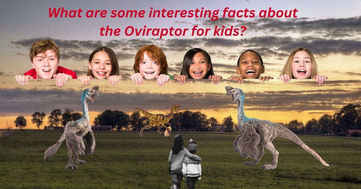 What are some interesting facts about the Oviraptor?