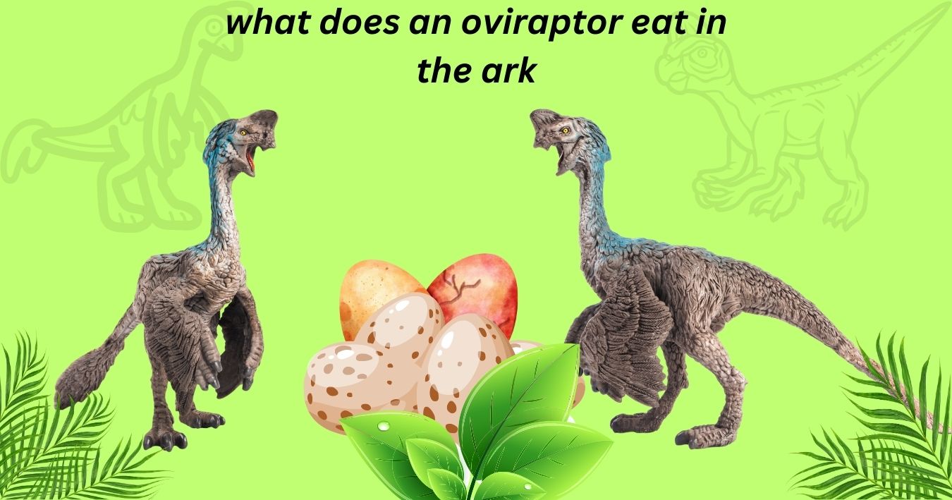 what does an oviraptor eat in the ark?