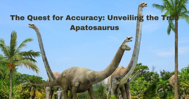 The Quest for Accuracy: Unveiling the True Apatosaurus