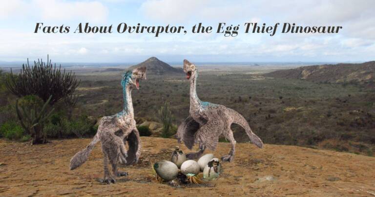 Facts About Oviraptor, the Egg Thief Dinosaur