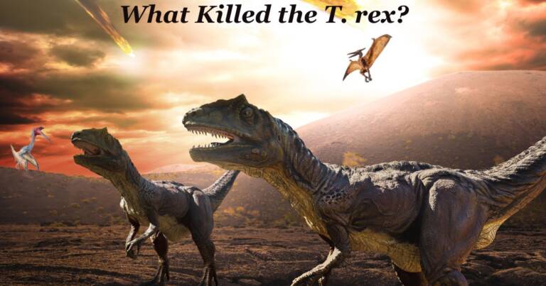 What Killed the T. rex?