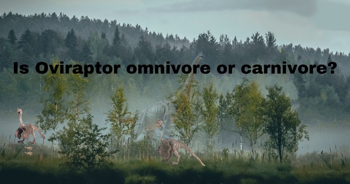 Is Oviraptor omnivore or carnivore?