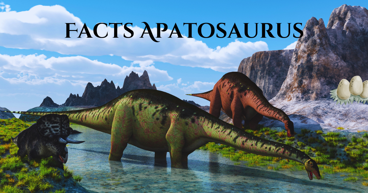 10 Interesting Facts About Apatosaurus