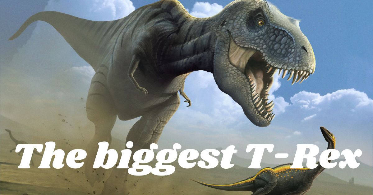 What was the biggest T. rex in history?