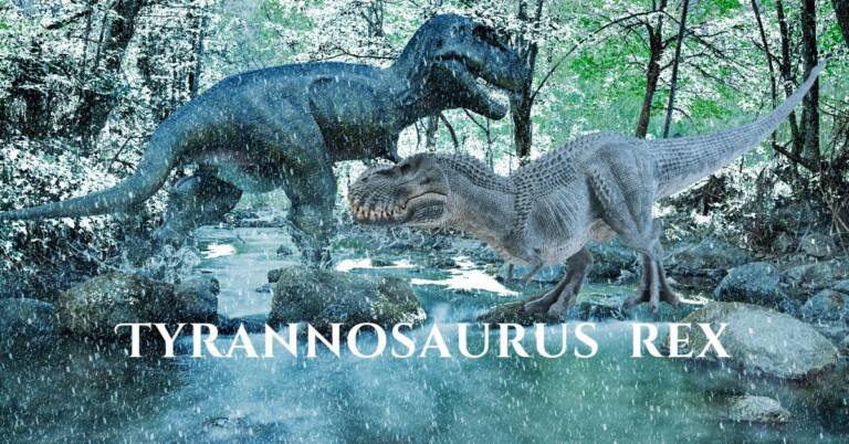 How many species of t-rex are there? Who was the biggest Tyrannosaurus rex among them?