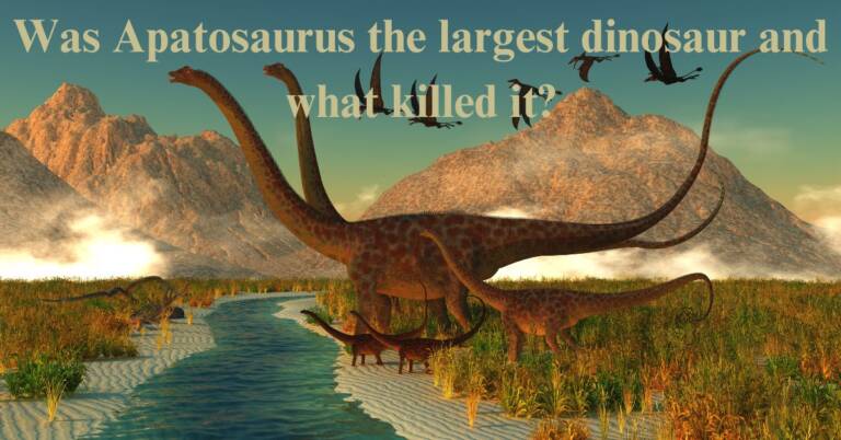 Was Apatosaurus the largest dinosaur and what killed it?