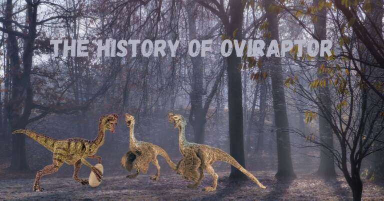 Oviraptor: Habitat, Diet, Flight, Pronunciation