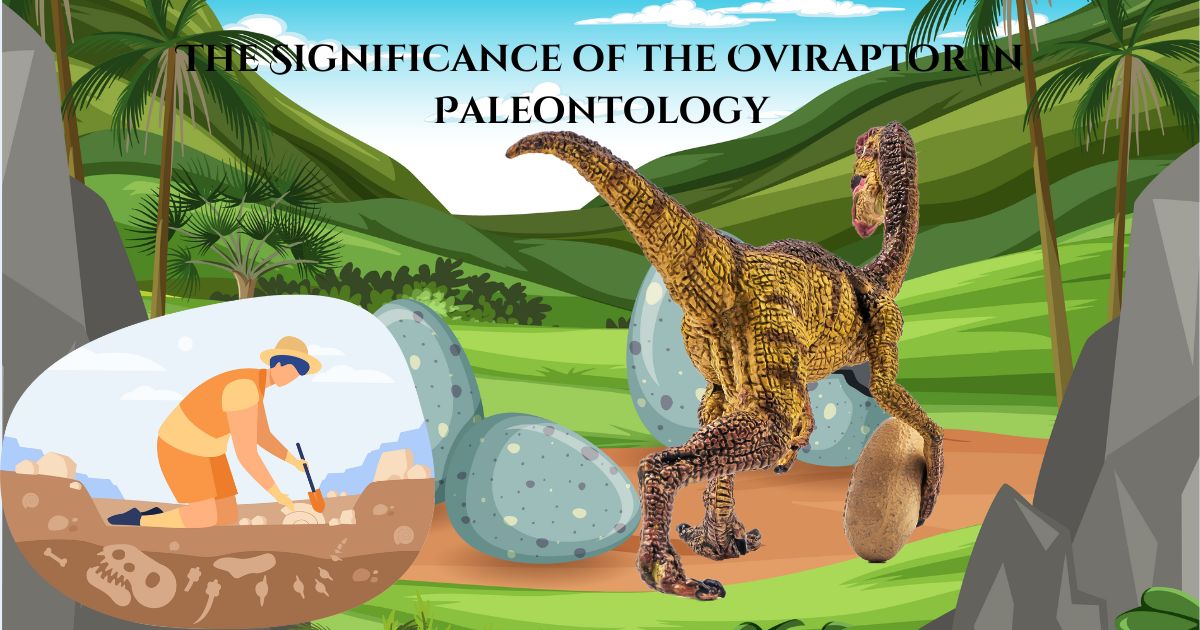 Unraveling the Fascinating Story of the Oviraptor: