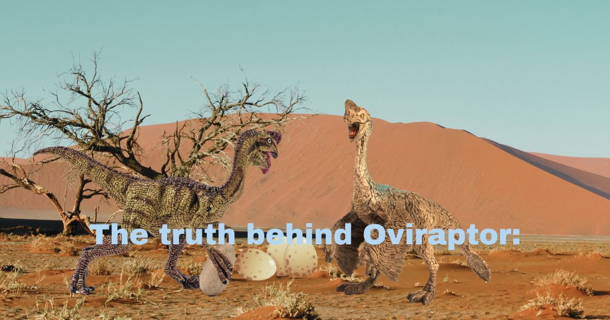 "Discover the Truth Behind the Oviraptor: