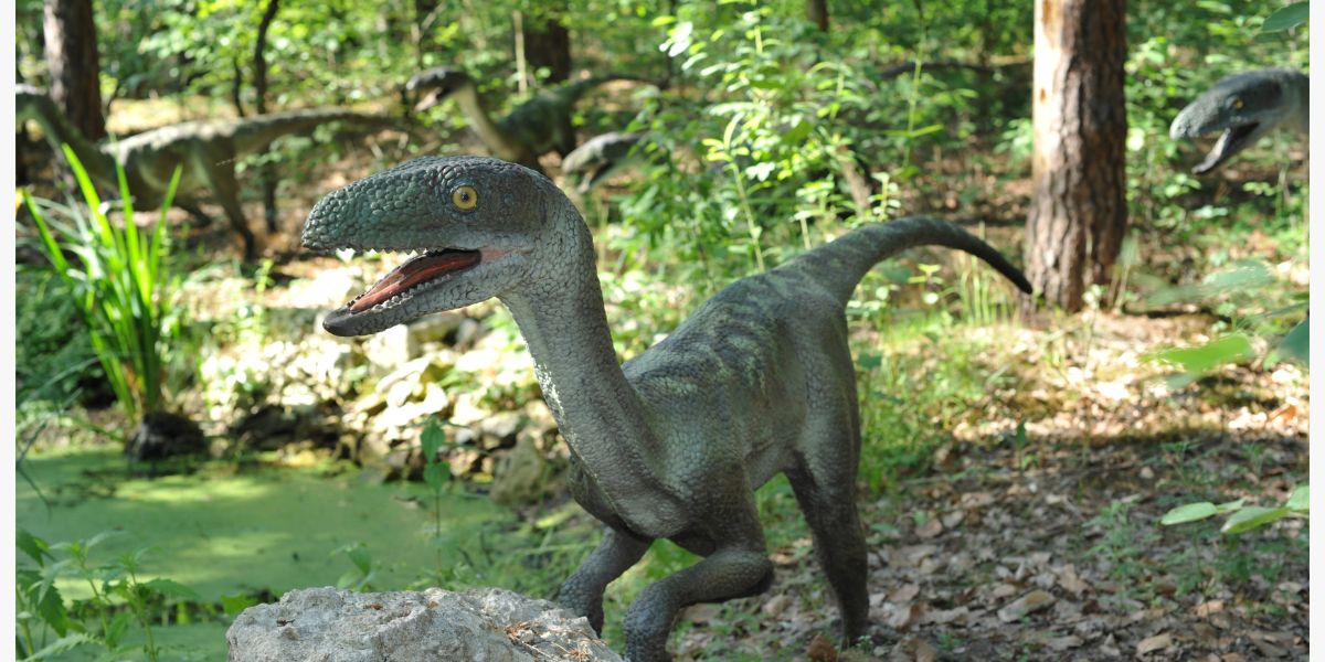 Velociraptor Incident Response: A Comprehensive Guide