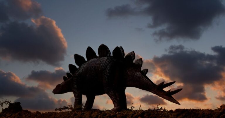 What Killed Off the Stegosaurus?