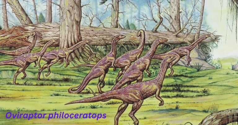 Significance of Oviraptor philoceratops in Paleontology