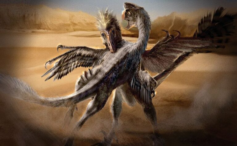 Oviraptor vs. Citipati