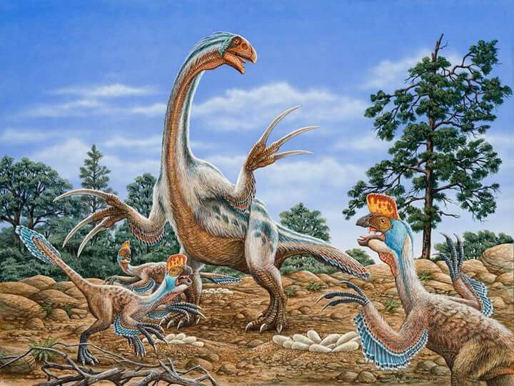 Oviraptor vs. Citipati