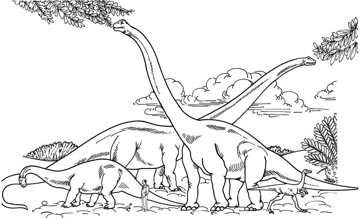 Apatosaurus Coloring Page