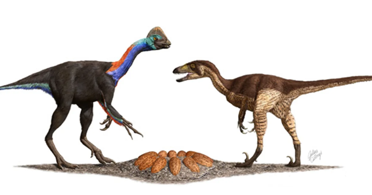 Oviraptor-Diet