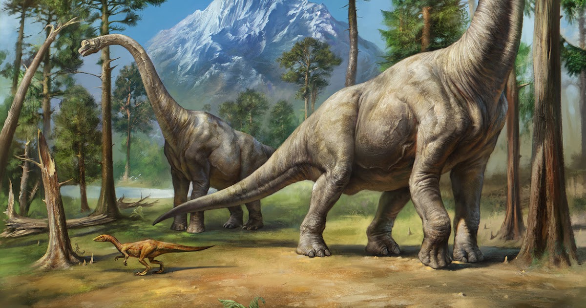 Brontosaurus-vs-Brachiosaurus