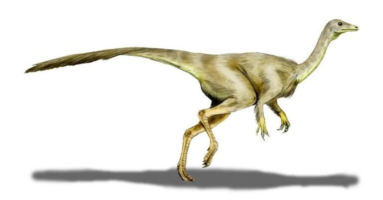 What Did Oviraptors Eat in the Cretaceous Period?