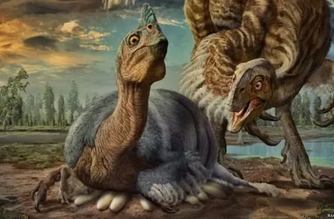 Could the Oviraptor’s Diet Have Included Shellfish or Other Unusual Foods?