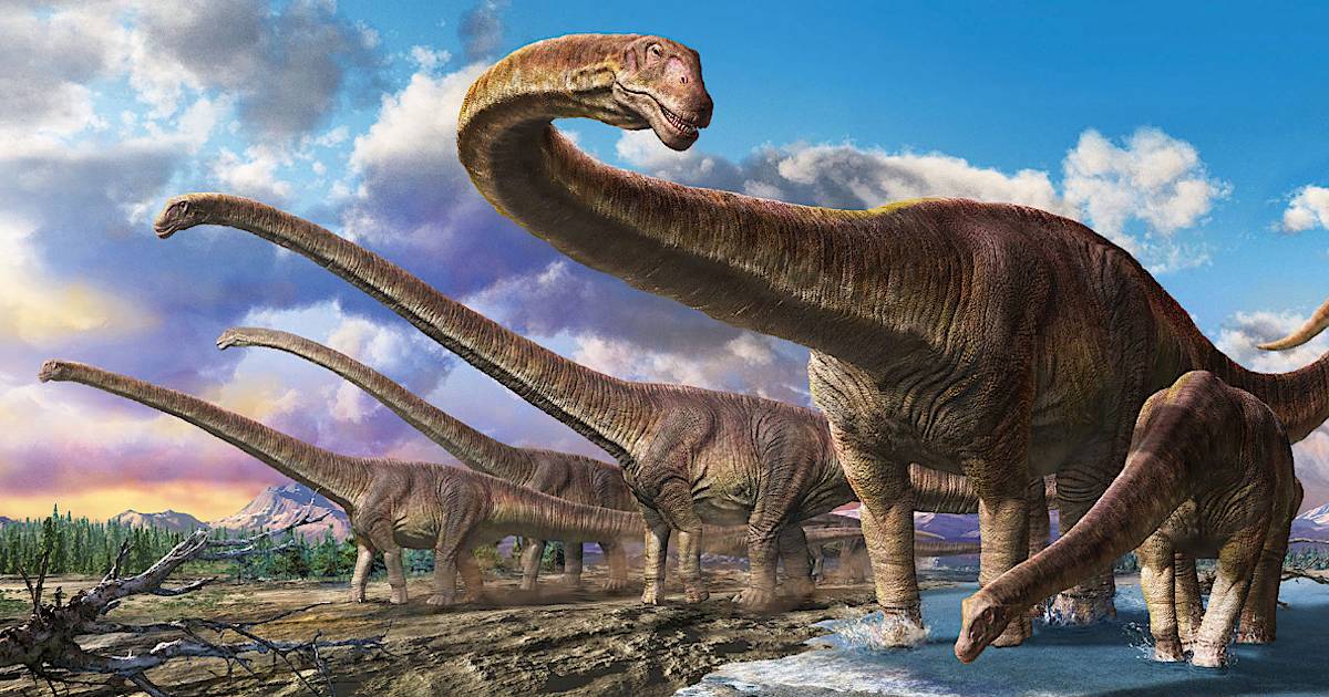 Brachiosaurus-vs-Brontosaurus