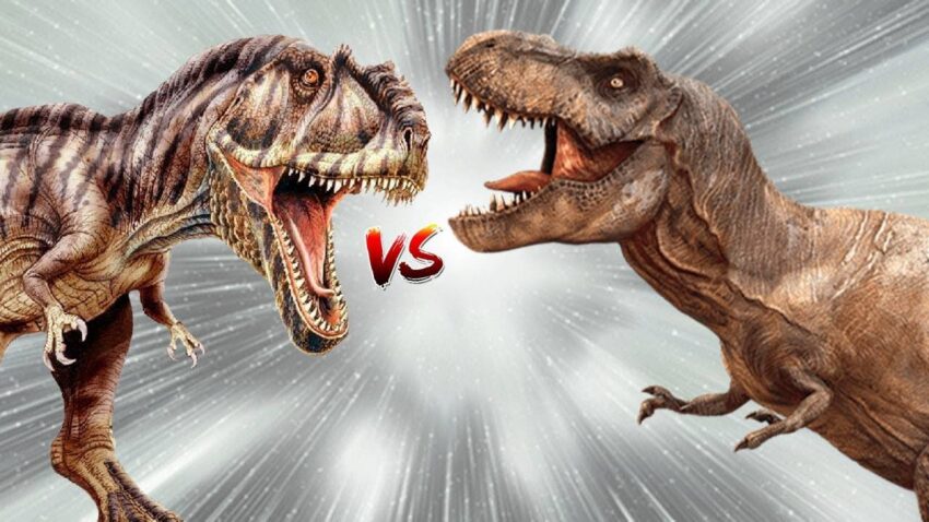 t rex vs allosaurus