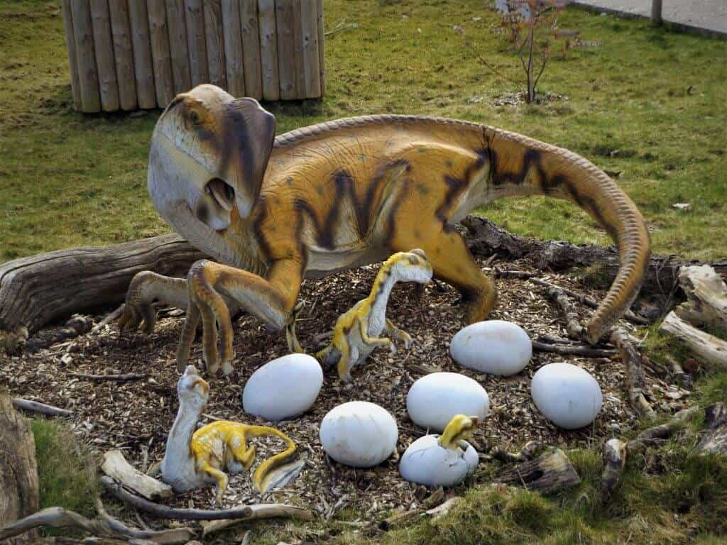 Did Oviraptors Eat Eggs or Protect Them?