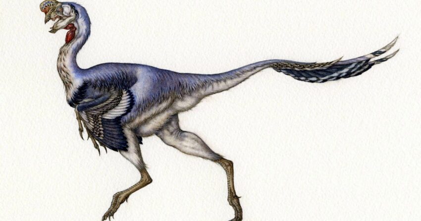 Oviraptor Dododex