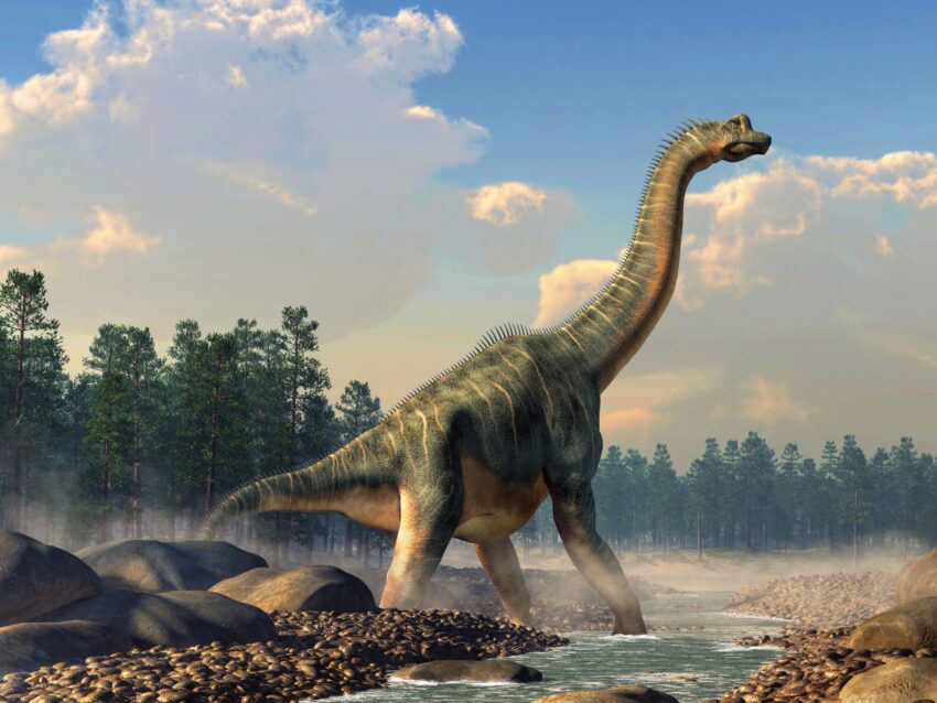 What Makes the Apatosaurus So Fascinating?